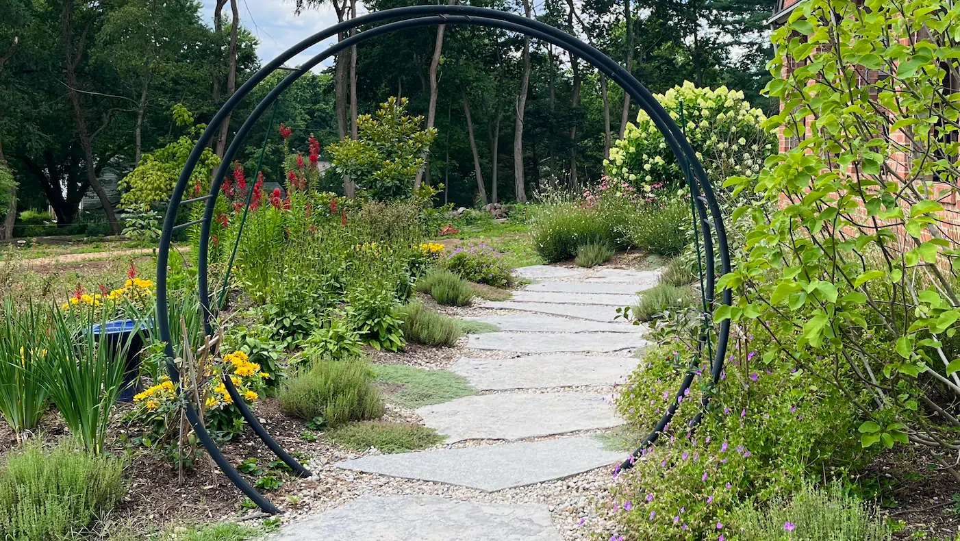 A Native Roots garden path with lush planting