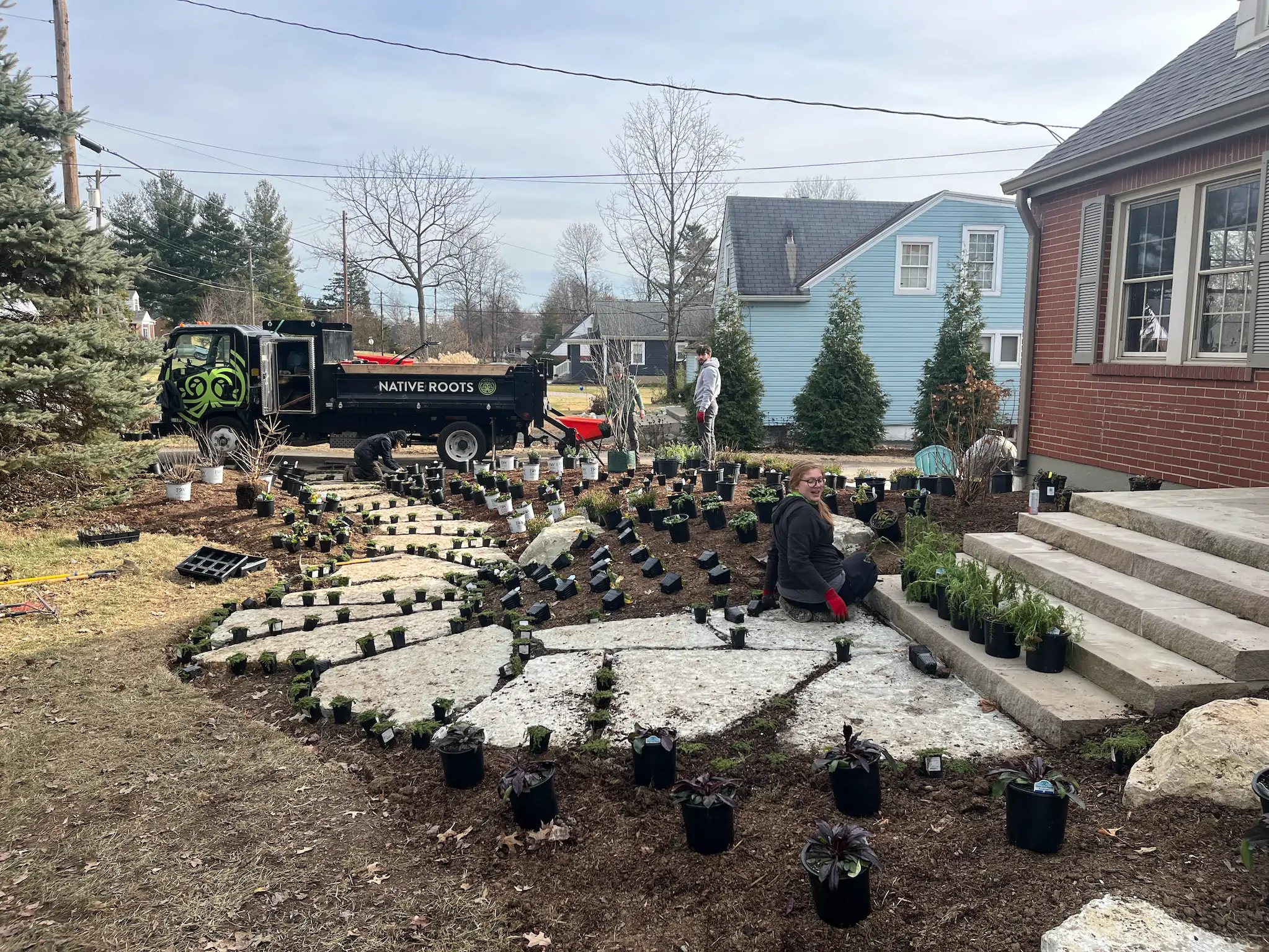 Native Roots installed landscape