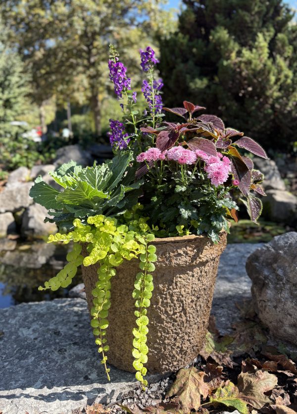 4-Seasons Porch Pot Subscription