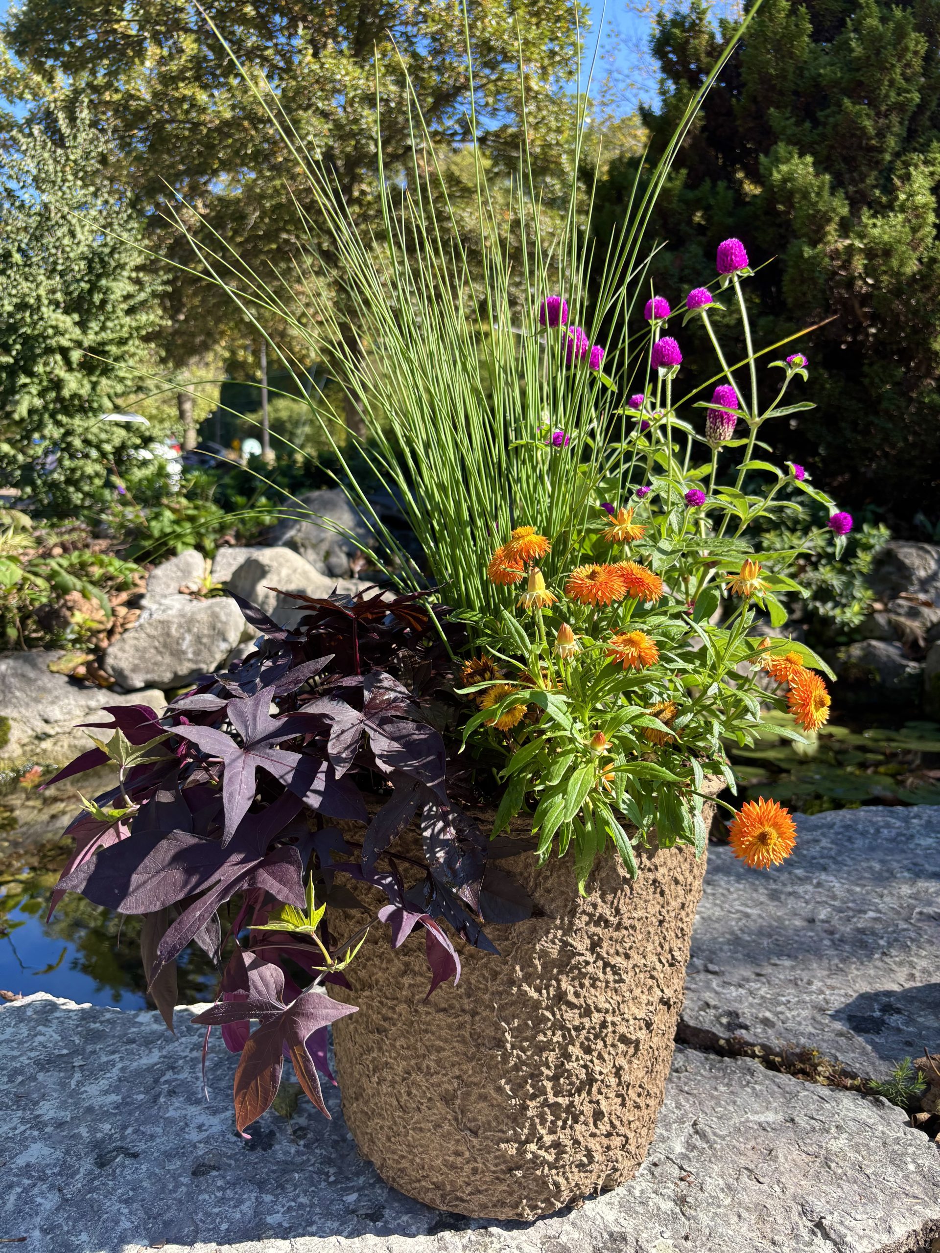 Individual Seasonal Planter - Image 11