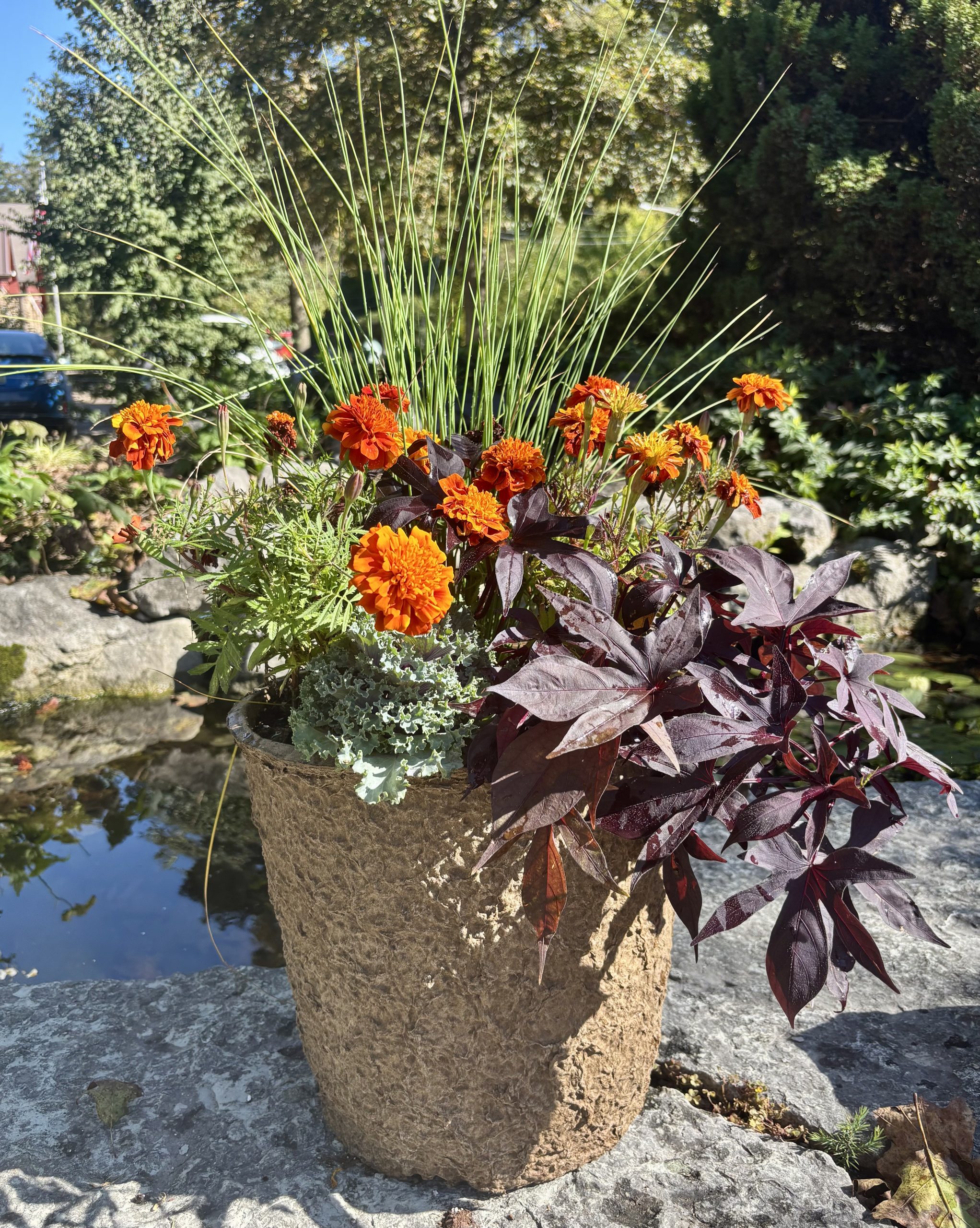 Individual Seasonal Planter - Image 12