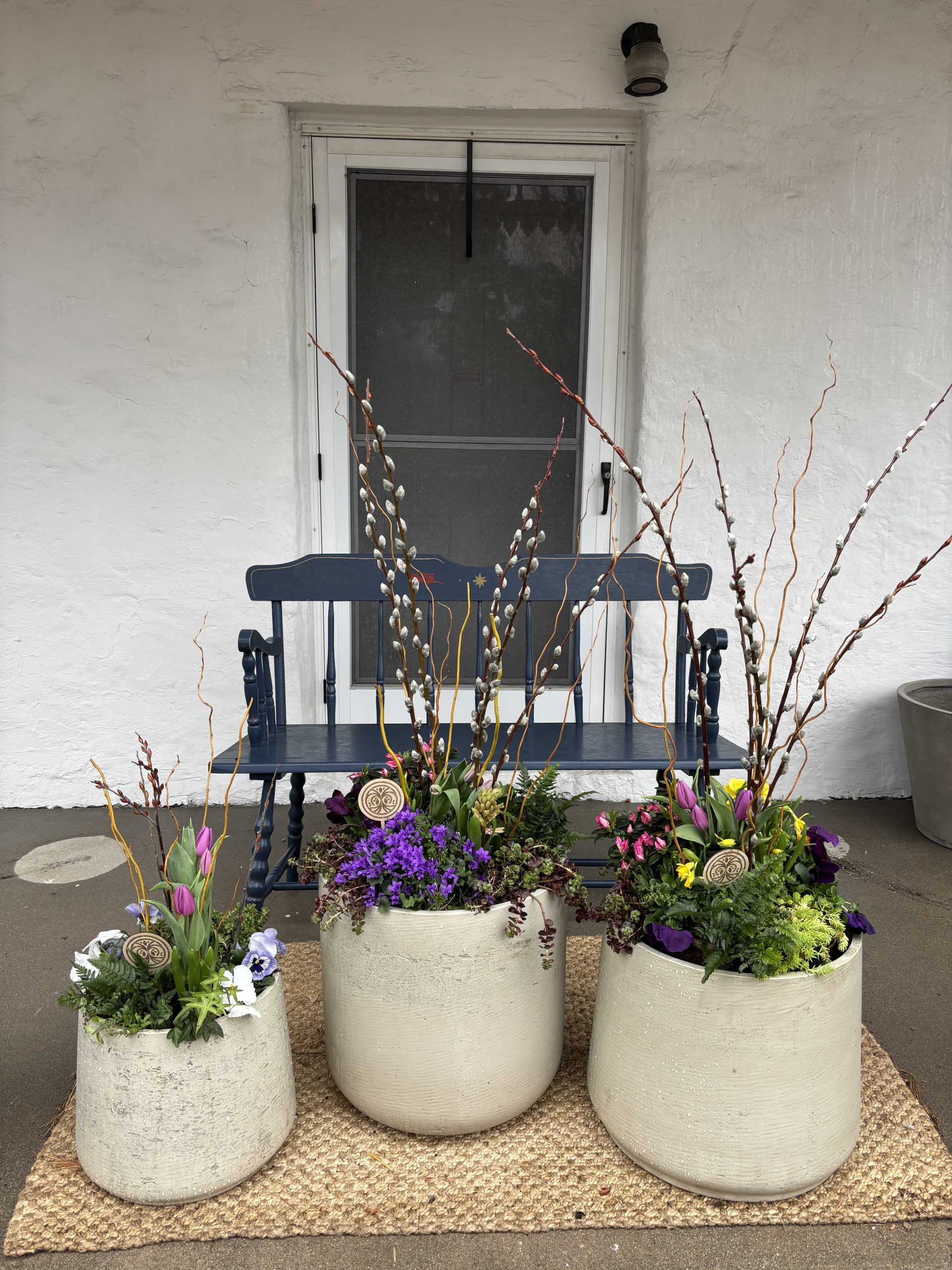 Individual Seasonal Planter - Image 4